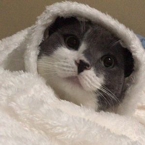 Meet your Posher, Mira